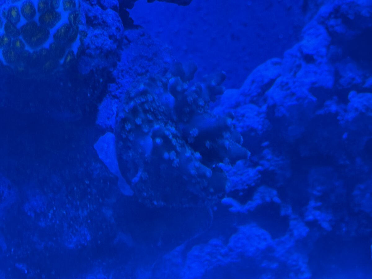 IMG_5155.jpeg