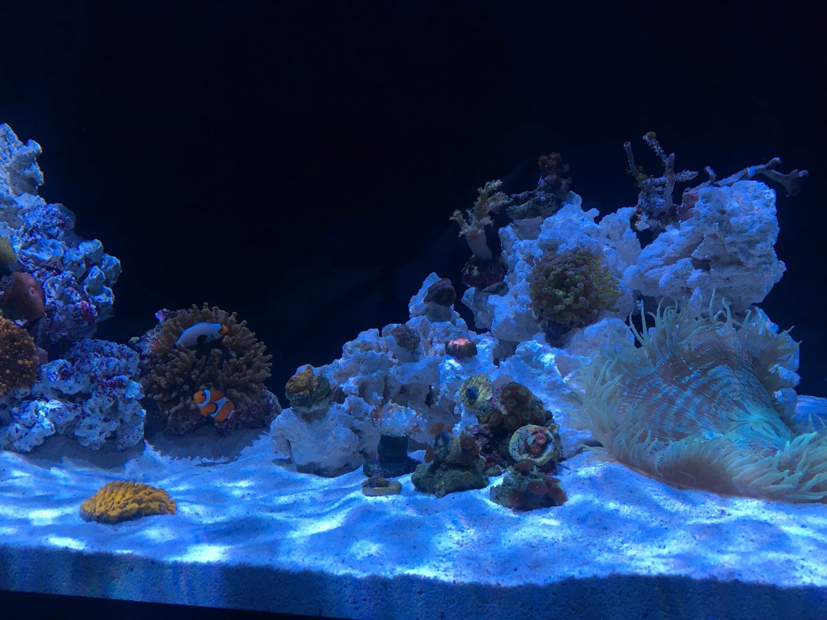 IMG_5173.JPG