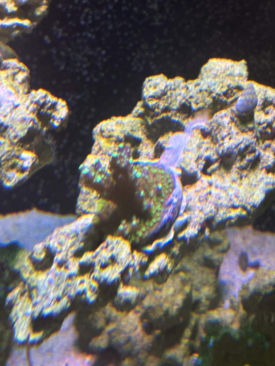 IMG_5176.jpeg