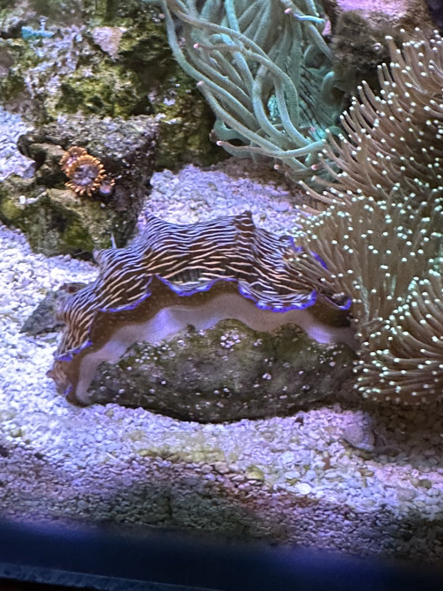 IMG_5178.jpeg