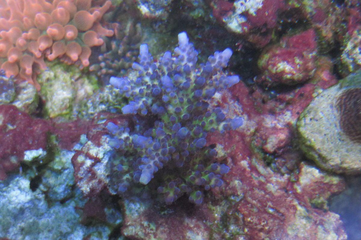 IMG_5178.JPG