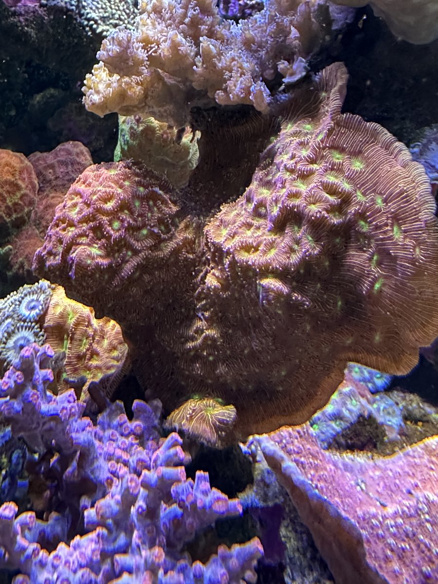 IMG_5186.jpeg