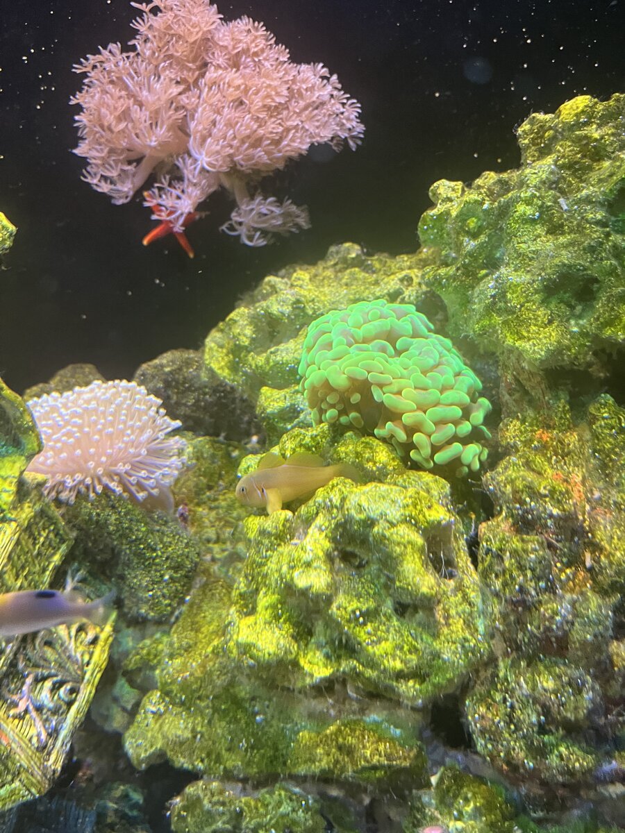 IMG_5194.jpeg