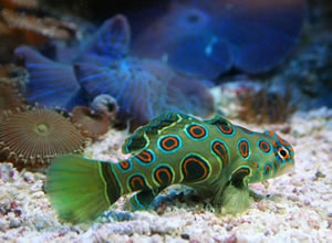 IMG_5213.JPG