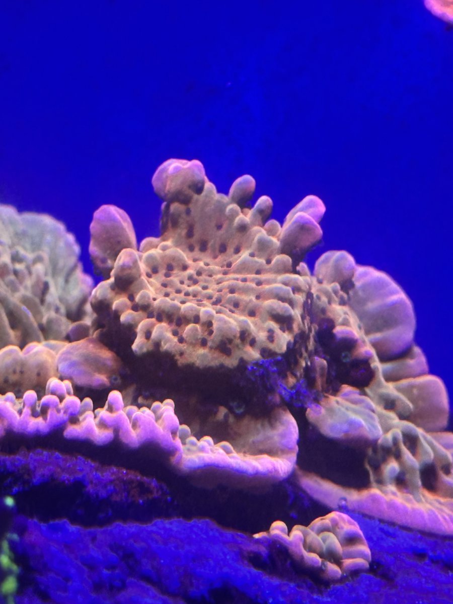 IMG_5216.jpeg