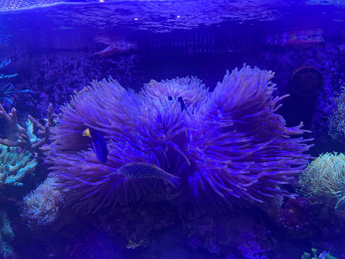 IMG_5223.jpeg