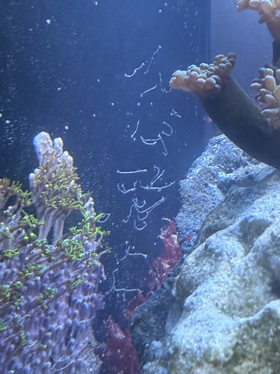 IMG_5226.jpeg