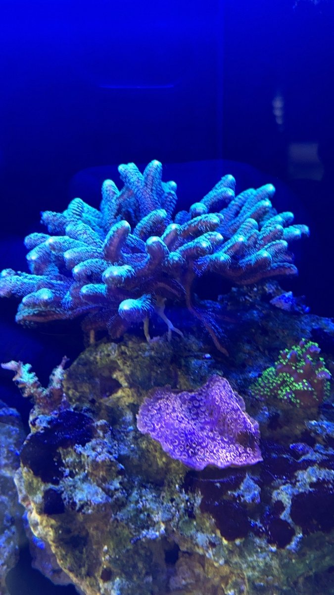 IMG_5227.jpeg
