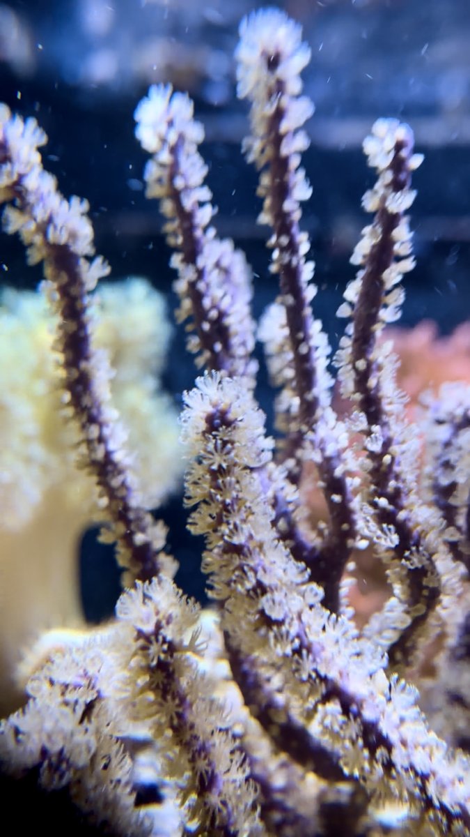 IMG_5229.jpeg