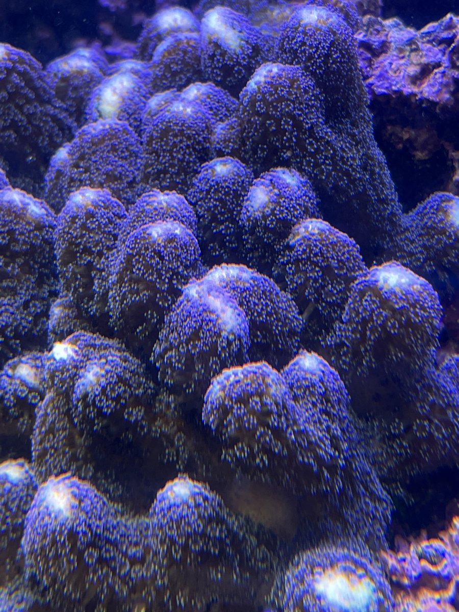IMG_5229.jpeg