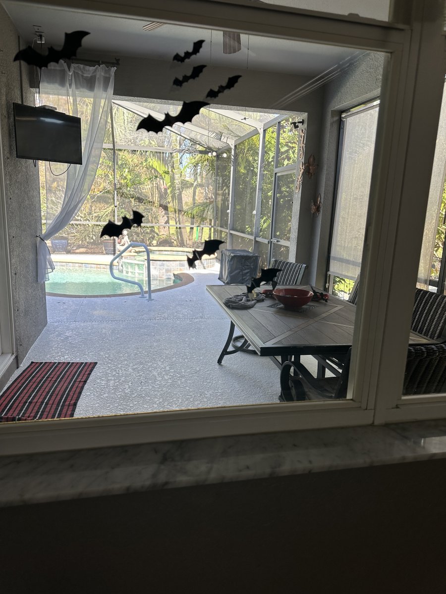 IMG_5231.jpeg