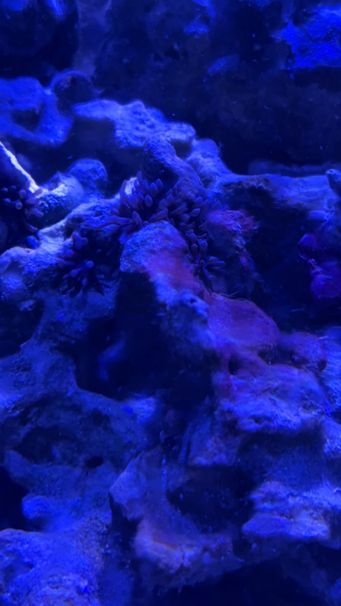 IMG_5242.jpeg