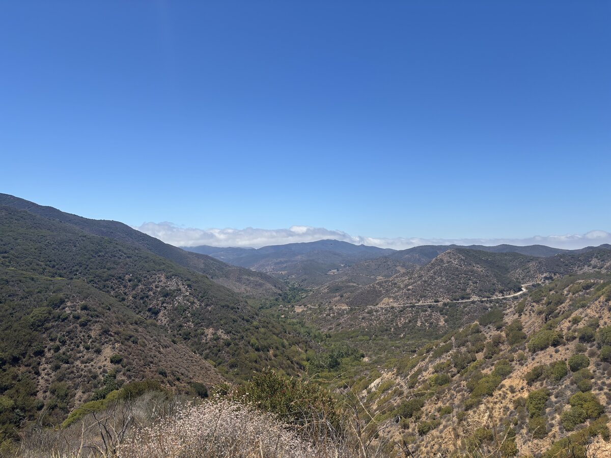 IMG_5245.jpeg
