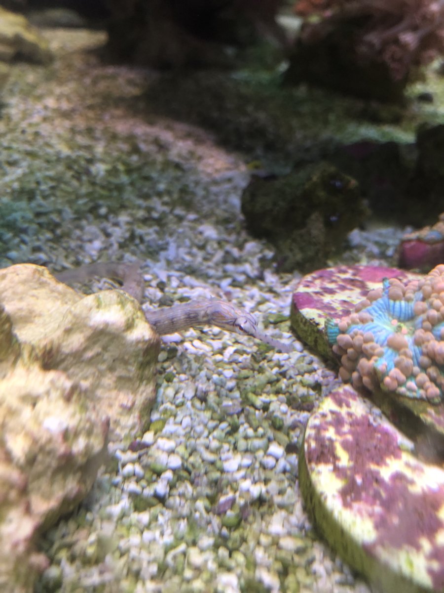 IMG_5253.jpeg