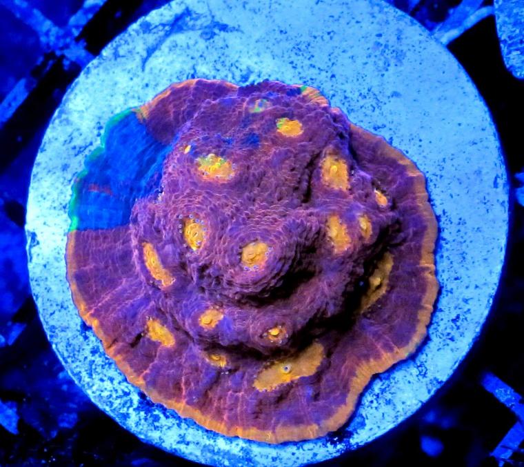 IMG_5254.jpg