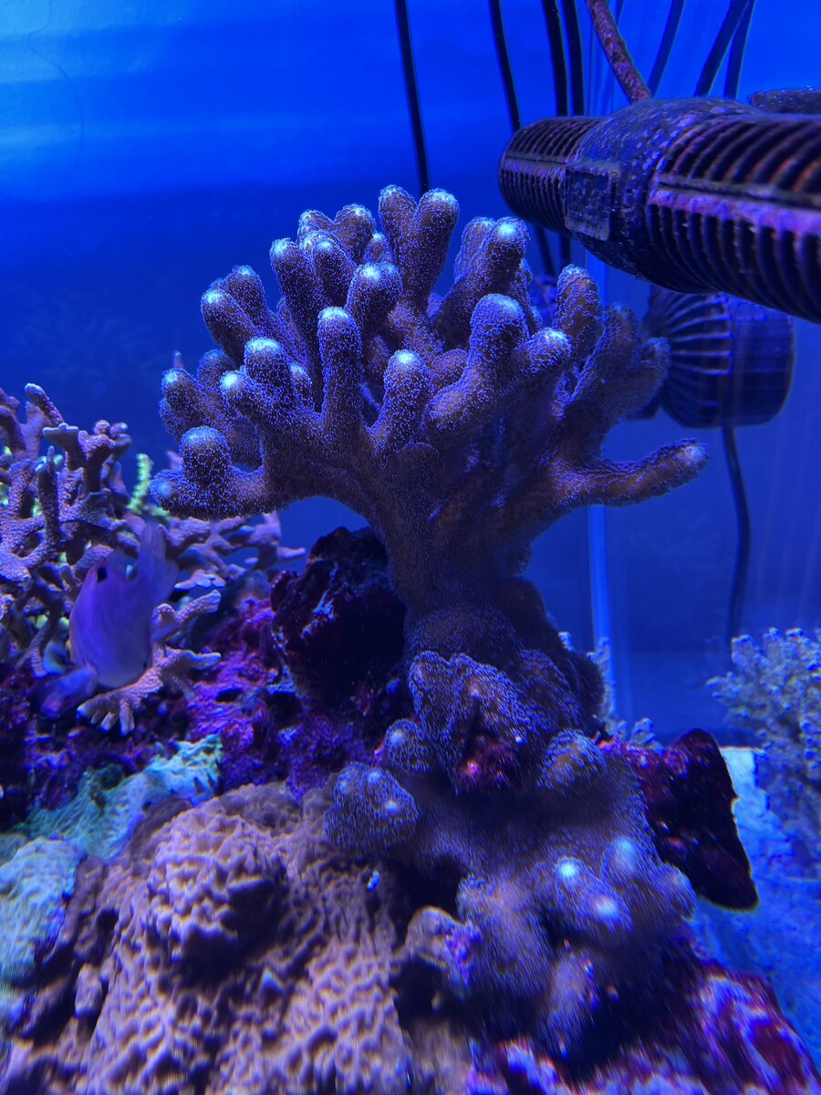 IMG_5256.jpeg