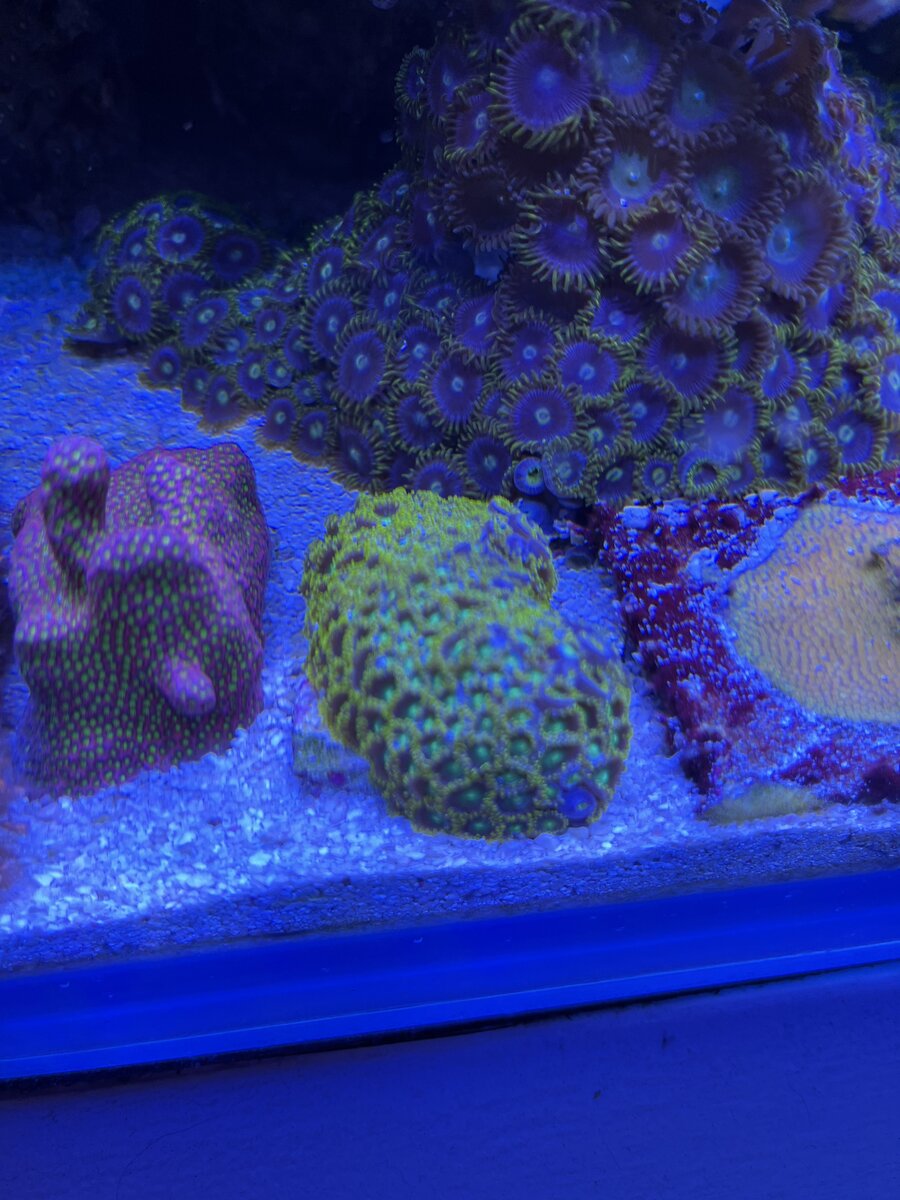 IMG_5257.jpeg
