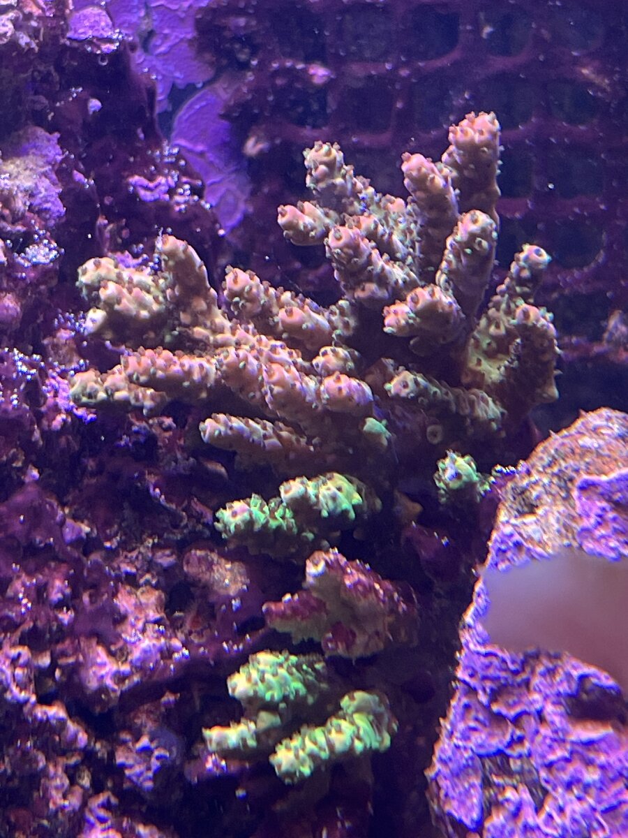 IMG_5257.jpeg