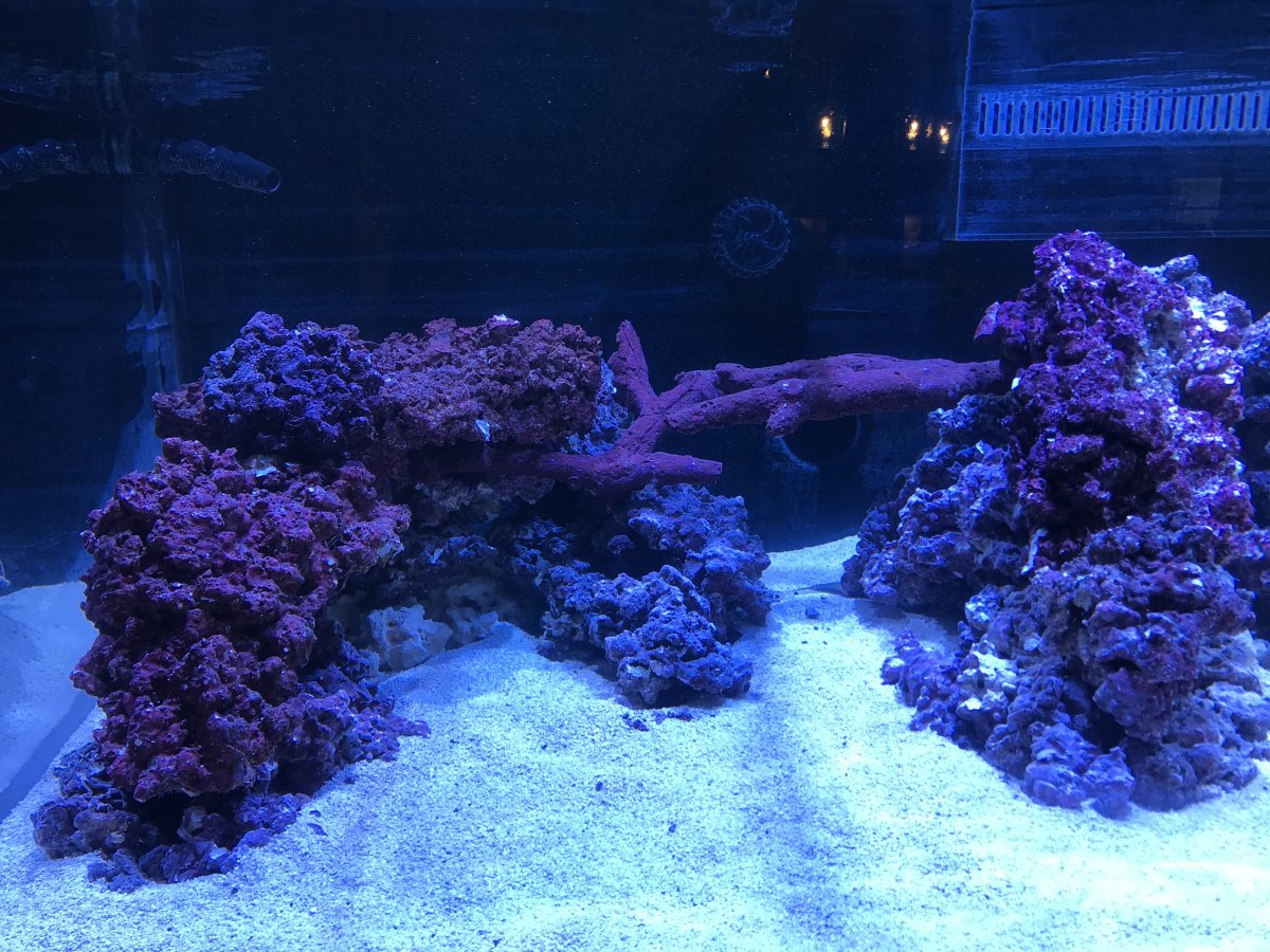IMG_5259.jpg
