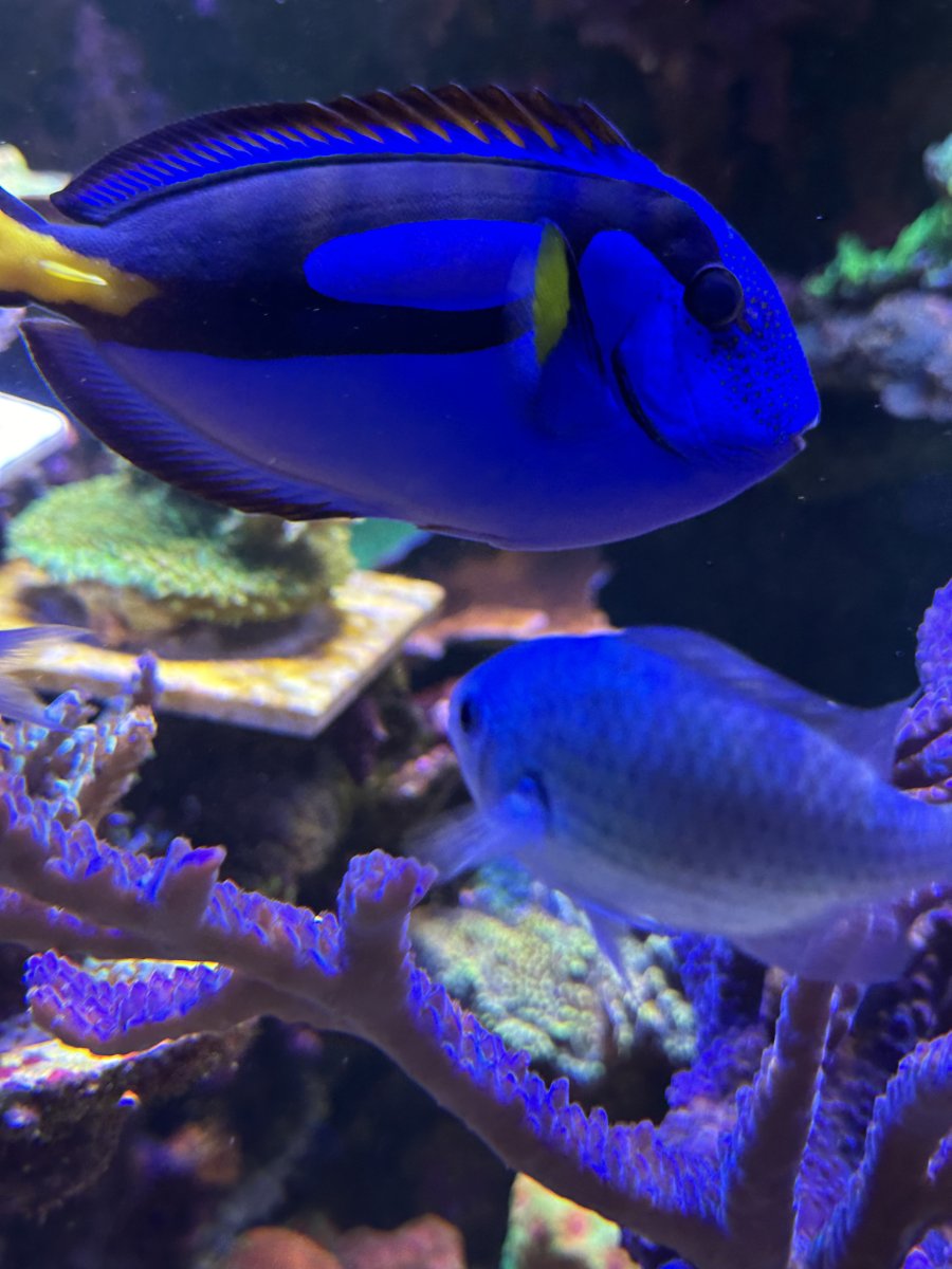 IMG_5262.jpeg