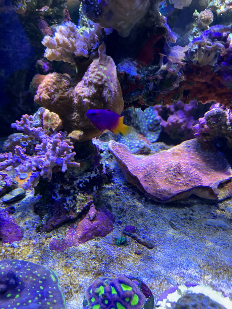 IMG_5266.jpeg