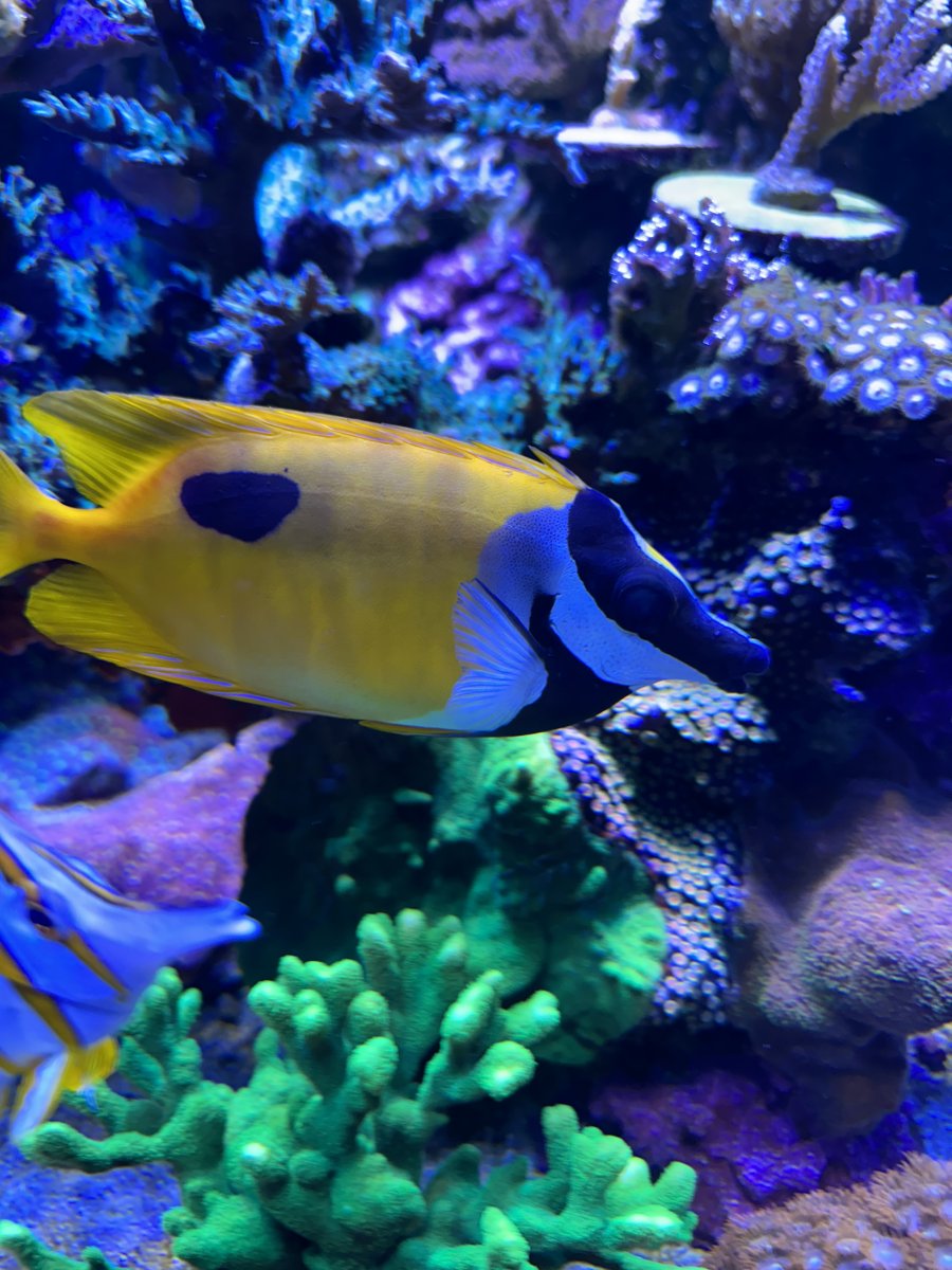 IMG_5270.jpeg