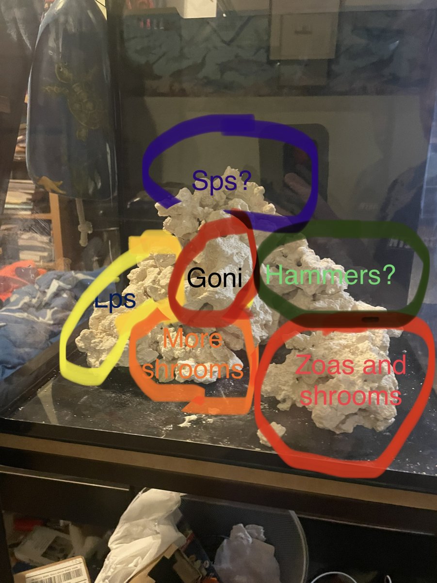 IMG_5276.jpeg