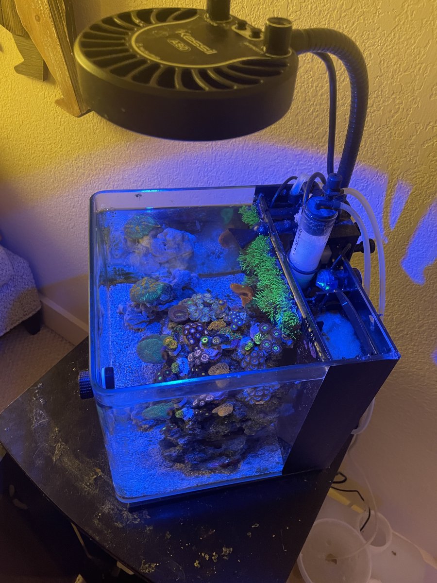 IMG_5304.jpeg