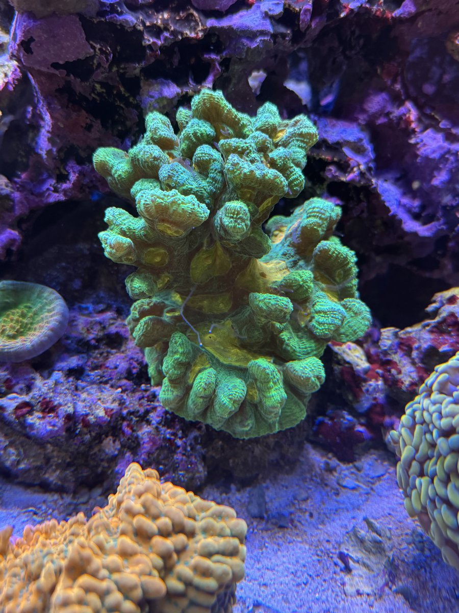 IMG_5304.jpeg