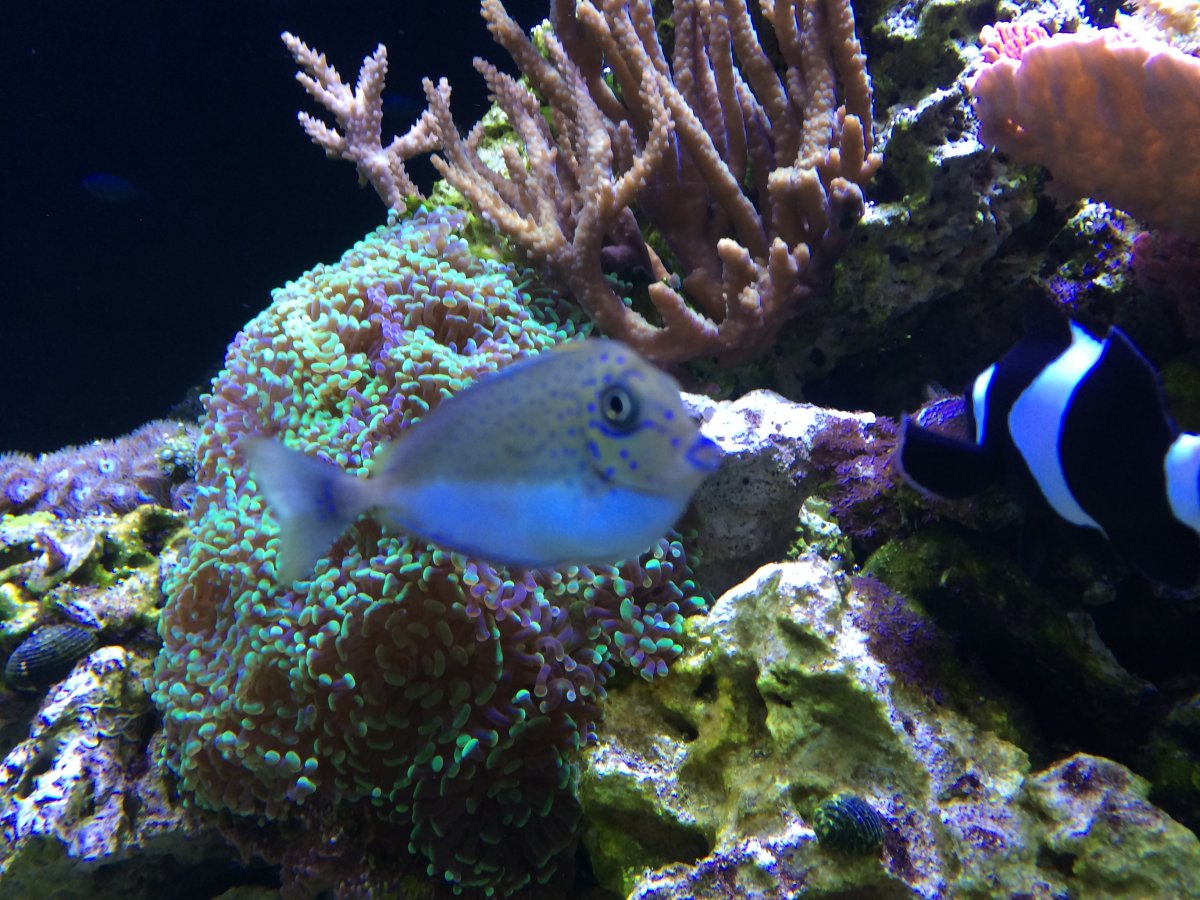 IMG_5313.JPG