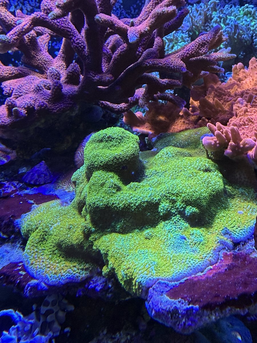 IMG_5314.jpeg