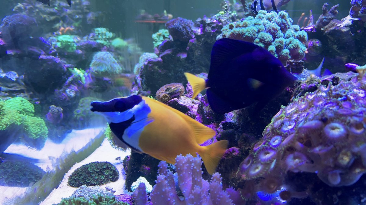 IMG_5322.jpeg