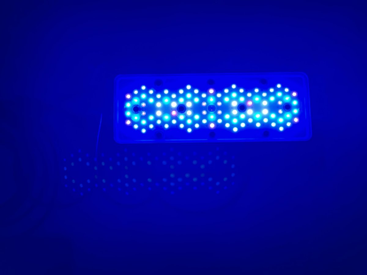 IMG_5325.JPEG