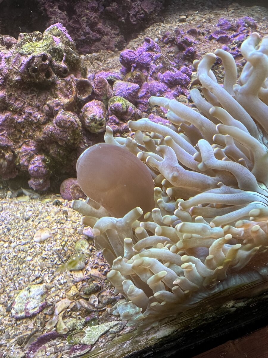 IMG_5326.jpeg