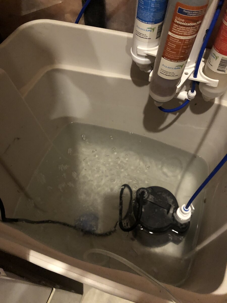 IMG_5330.jpeg