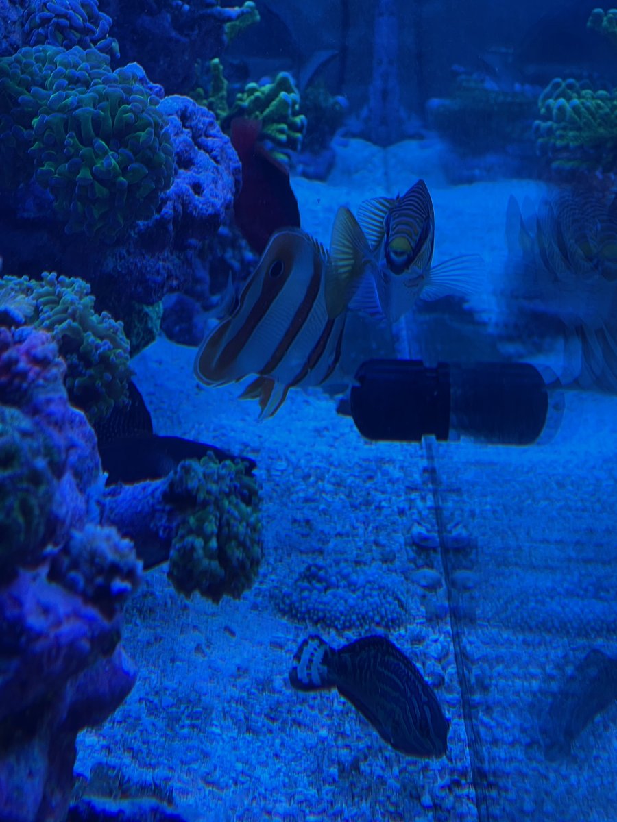 IMG_5332.jpeg