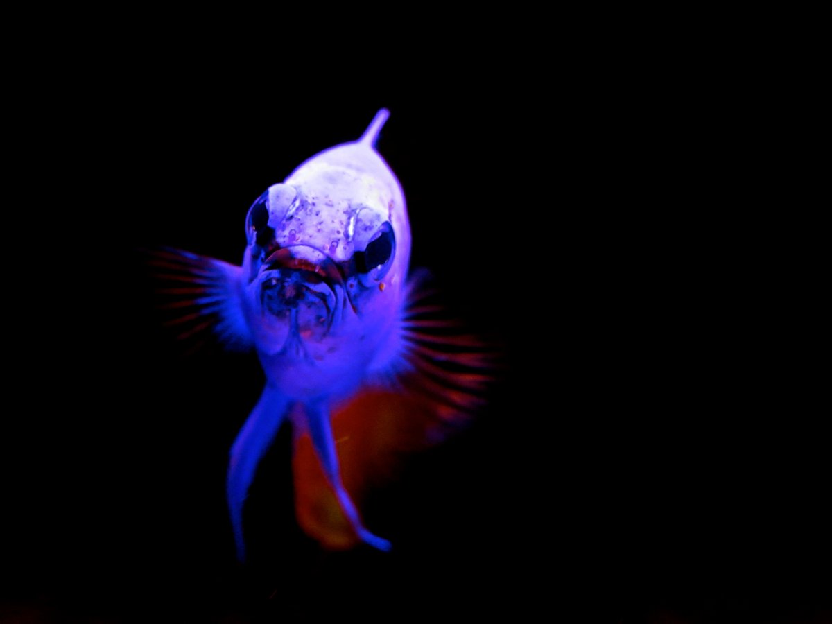 IMG_5336.JPG