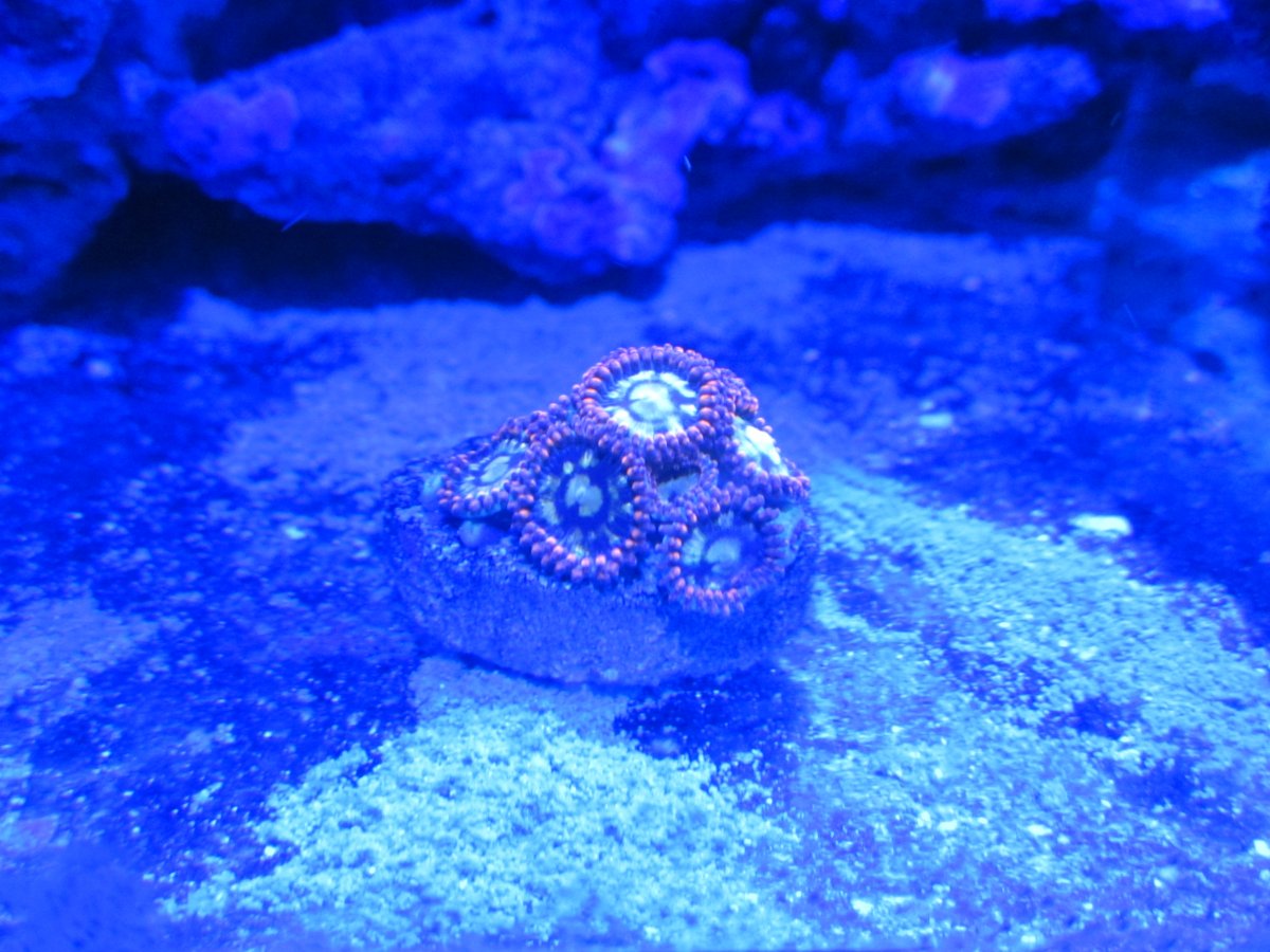 IMG_5337.JPG