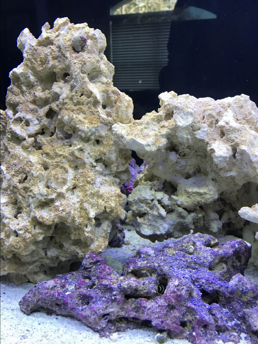 IMG_5338.jpeg