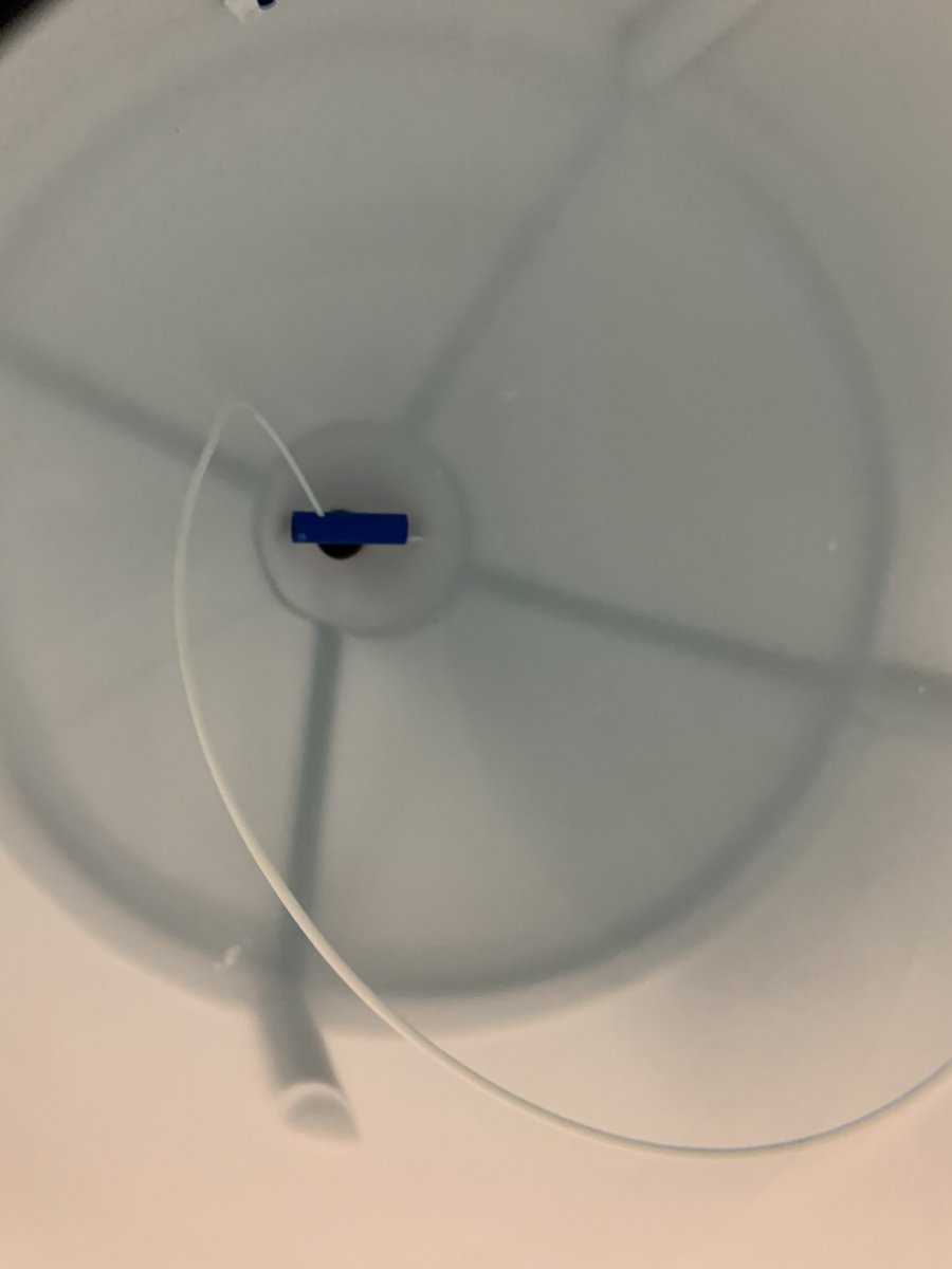 IMG_5340.jpeg