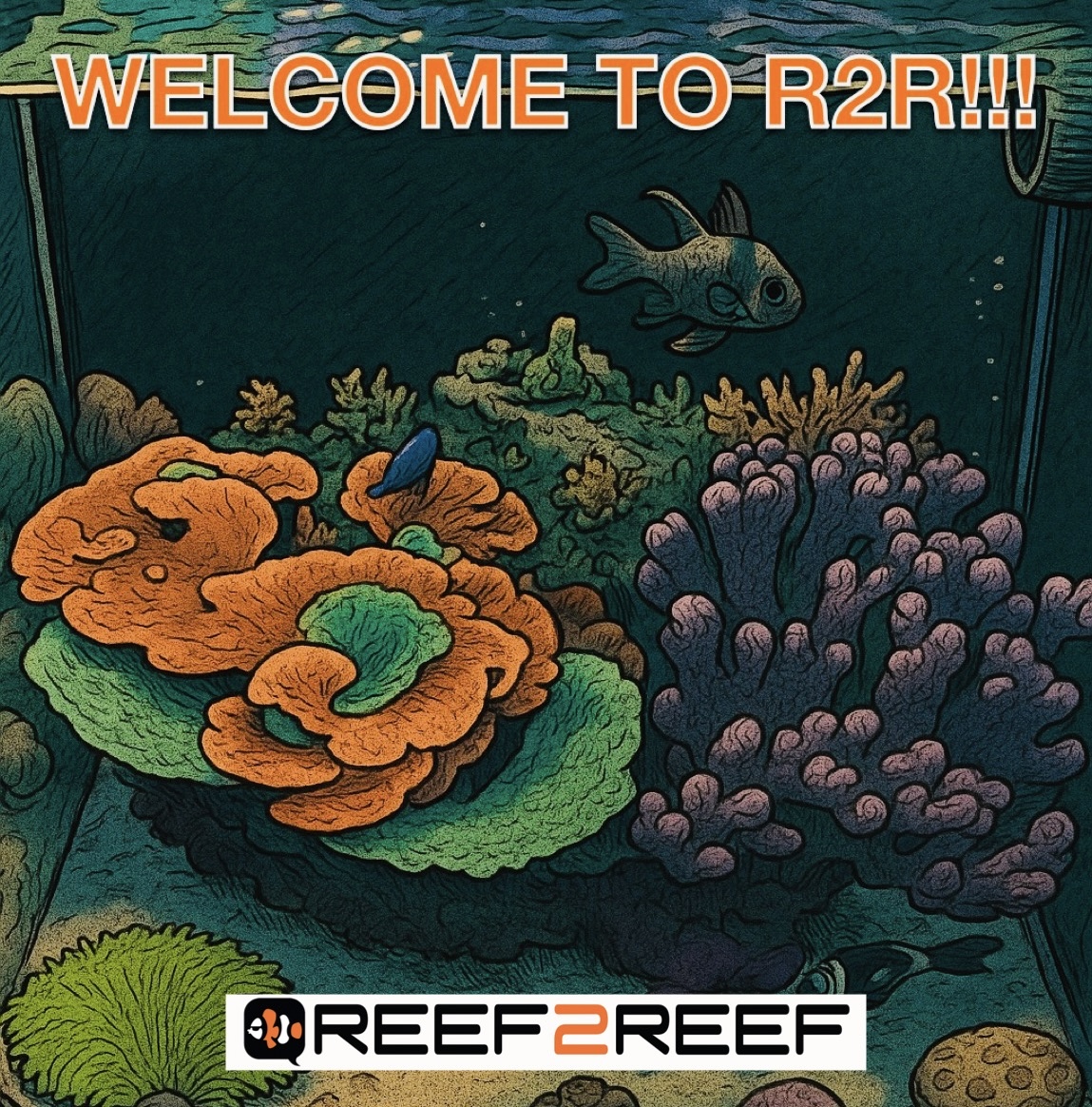 IMG_5340.jpeg