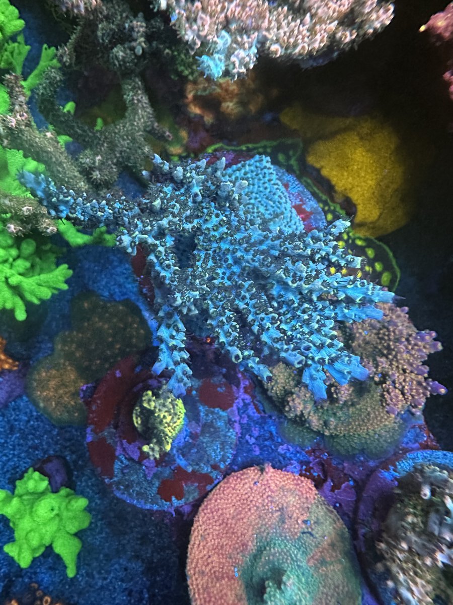 IMG_5345.jpeg