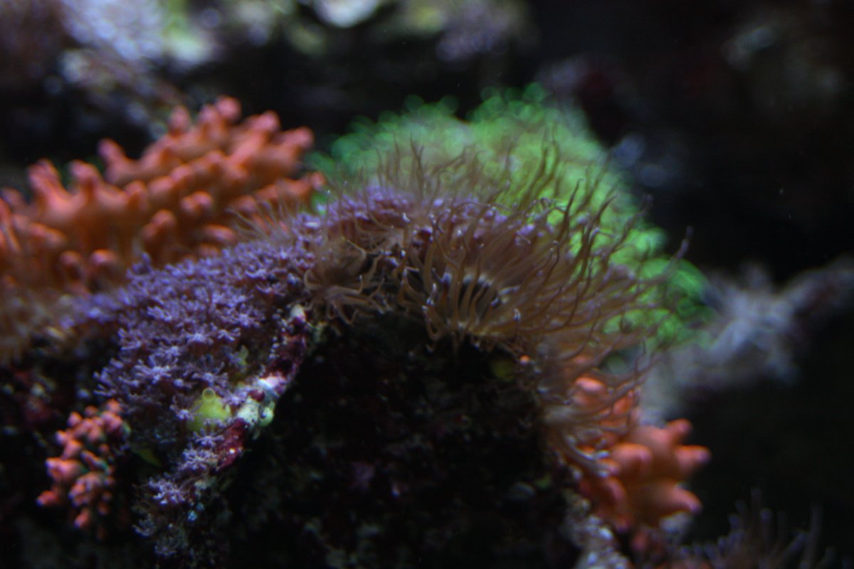 IMG_5355.JPG