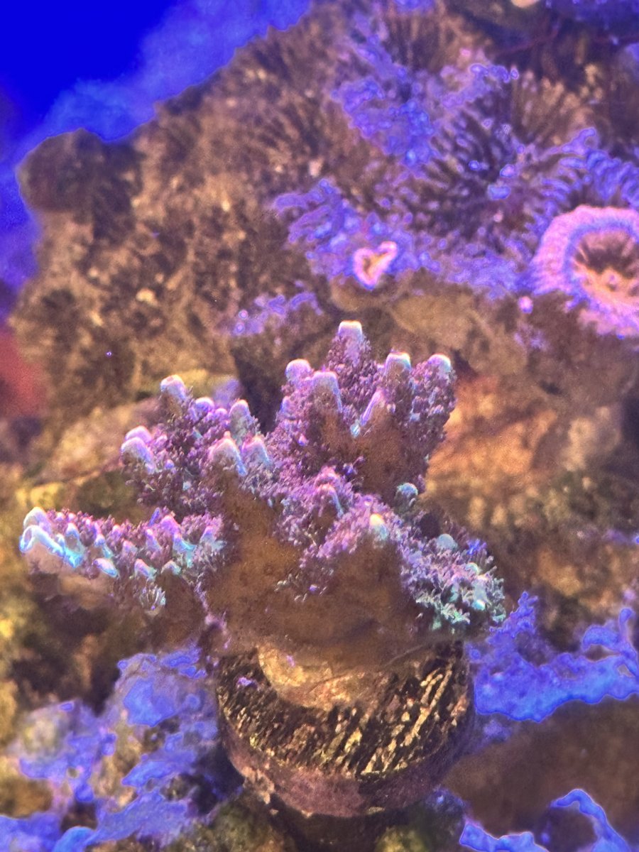 IMG_5359.jpeg