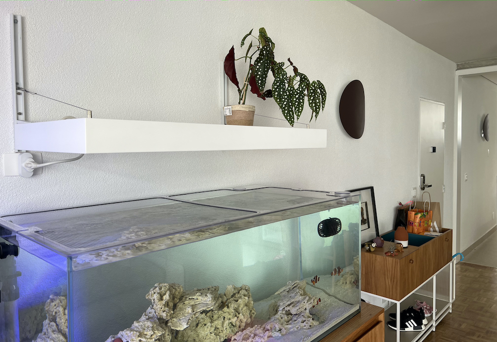 IMG_5363.jpeg