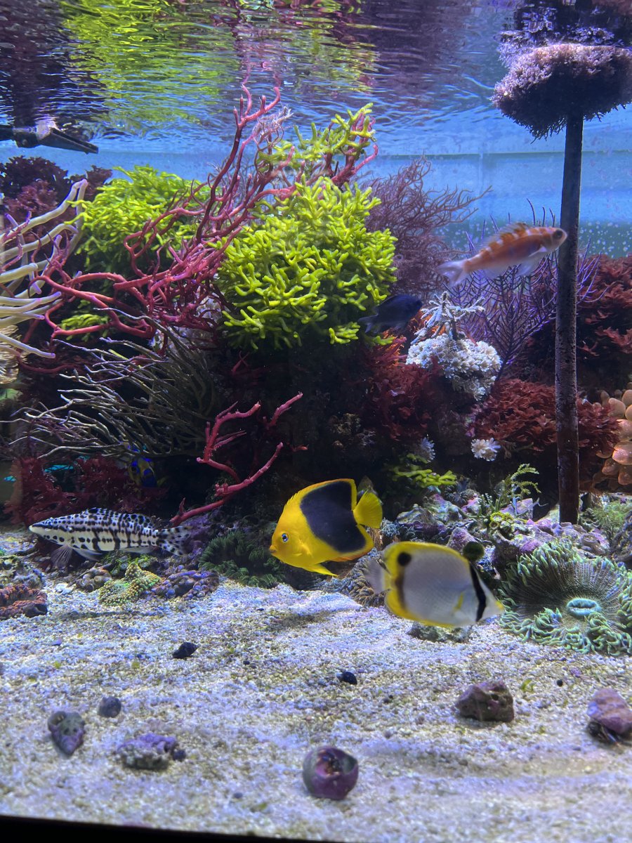 IMG_5364.jpeg