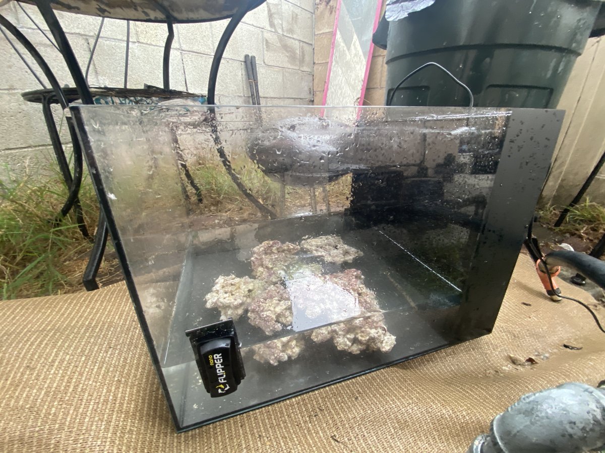 California - Aquariums - Dry Goods - Waterbox 15g AIO w 