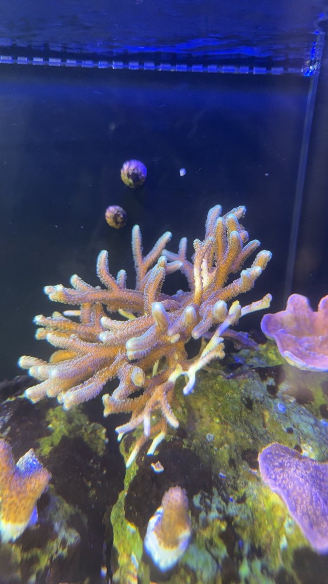 IMG_5379.jpeg