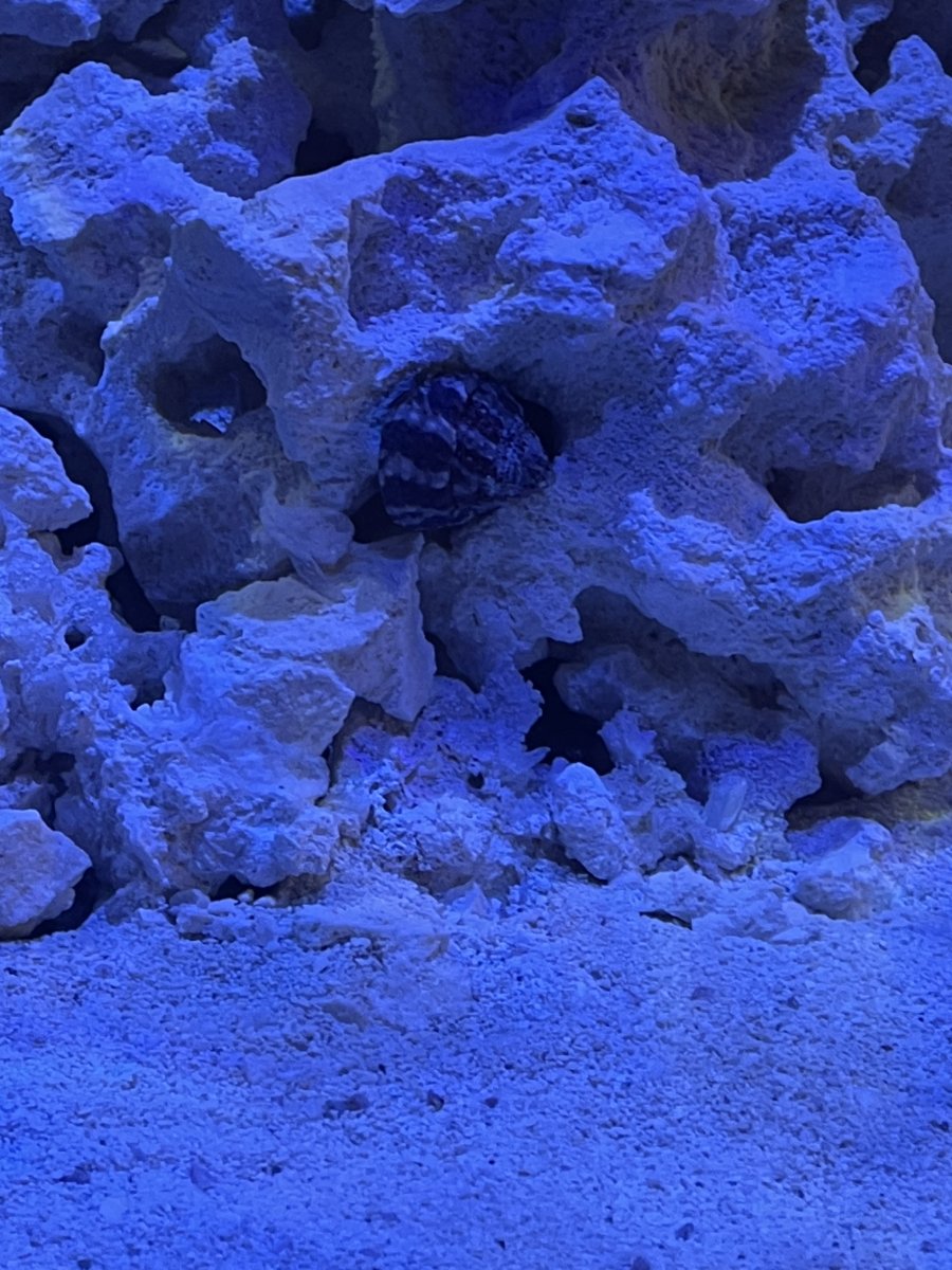 IMG_5380.jpeg