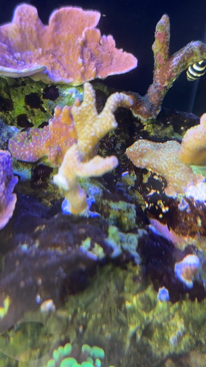 IMG_5383.jpeg